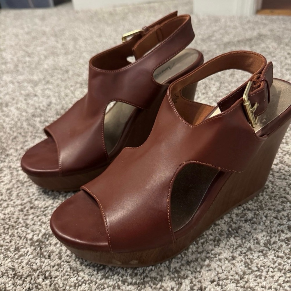 American Eagle Outfitters Brown Wedge Sandals
